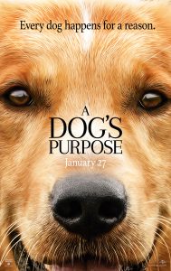 a-dogs-purpose-DGS_Tsr1Sht24_rgb